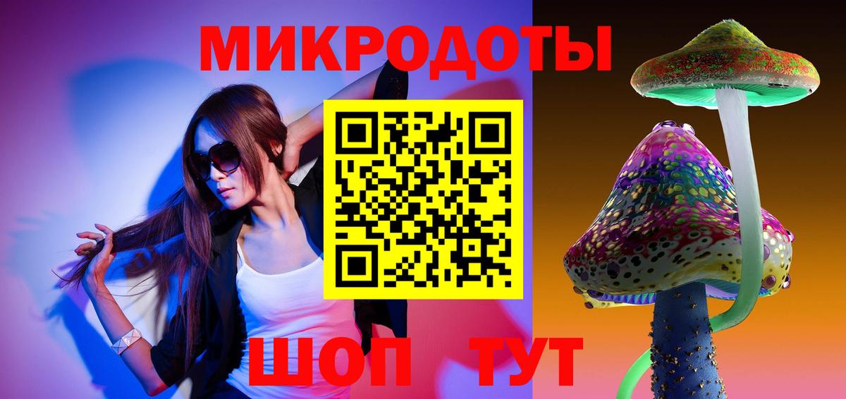 Псилоцибиновые грибы Psilocybine cubensis Мончегорск
